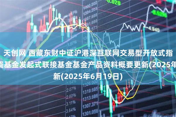 天创网 西藏东财中证沪港深互联网交易型开放式指数证券投资基金发起式联接基金基金产品资料概要更新(2025年6月19日)