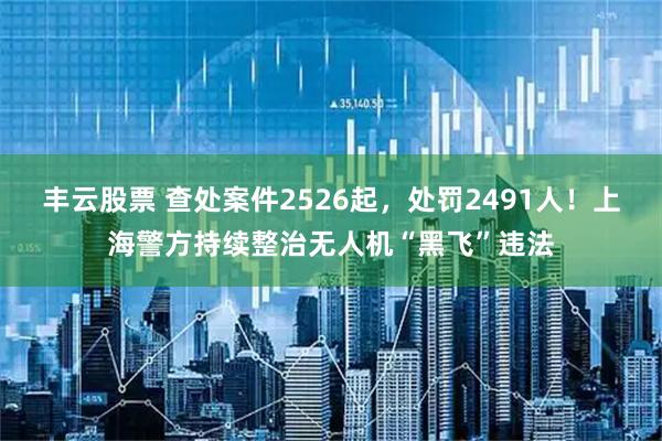 丰云股票 查处案件2526起，处罚2491人！上海警方持续整治无人机“黑飞”违法