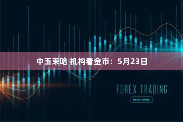 中玉束哈 机构看金市：5月23日