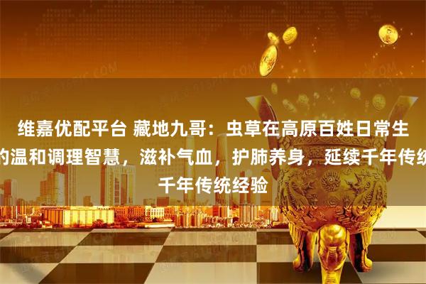 维嘉优配平台 藏地九哥：虫草在高原百姓日常生活中的温和调理智慧，滋补气血，护肺养身，延续千年传统经验